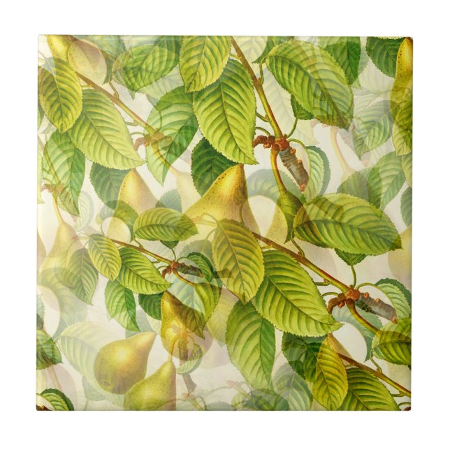 Pear Tree Branches & Pears Pattern  Ceramic Tile (Front)