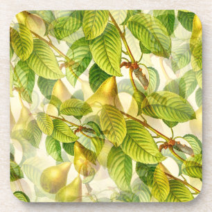 Pear Tree Branches & Pears Pattern Coaster