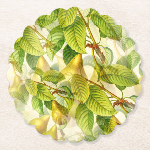 Pear Tree Branches & Pears Pattern Paper Coaster