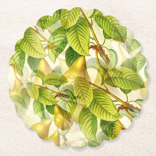 Pear Tree Branches & Pears Pattern  Paper Coaster (Front)