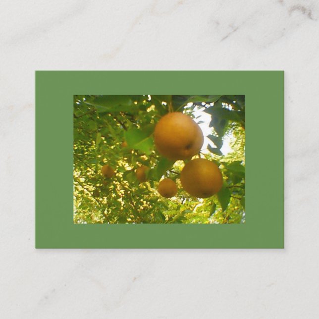 Pear Tree Business Card (Front)