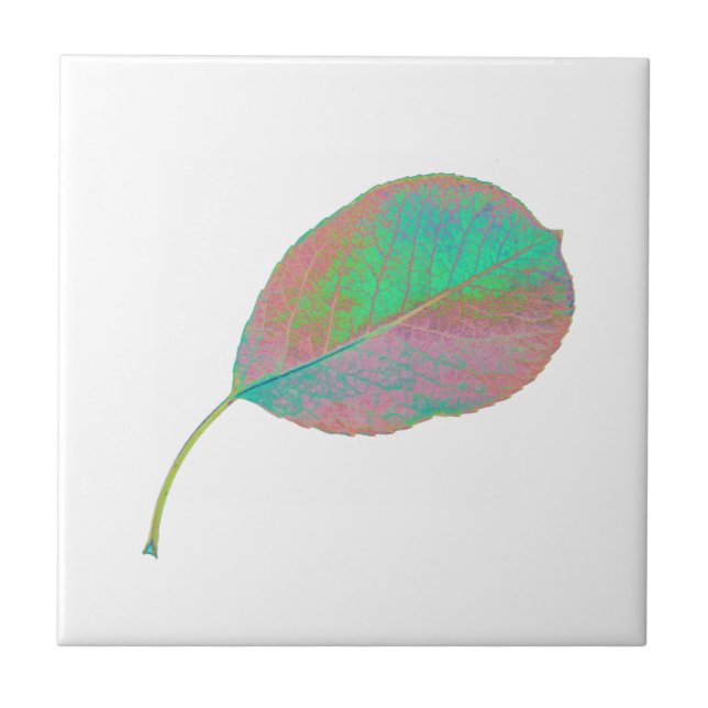 Pear Tree Green Leaf Texture Ceramic Tile (Front)