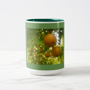 Pear Tree Green Two-Tone Coffee Mug