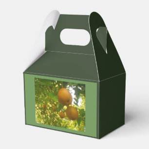 Pear Tree Harvest Favour Box