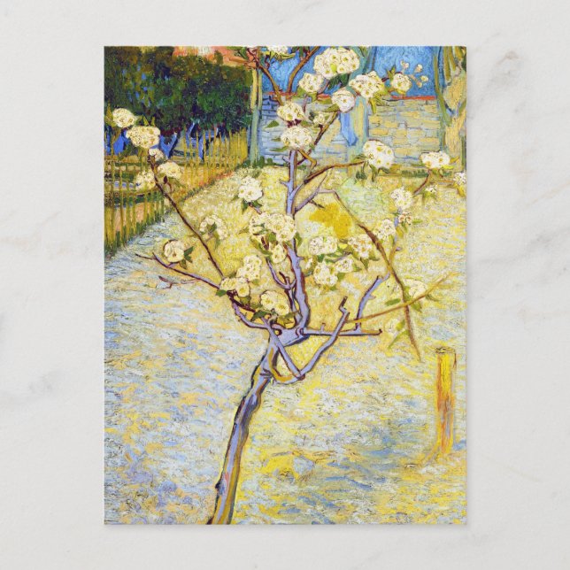 Pear Tree in Blossom Vincent van Gogh fine art Postcard (Front)