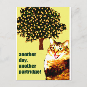 pear tree postcard