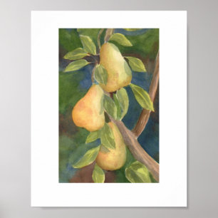 "Pear Tree" Poster