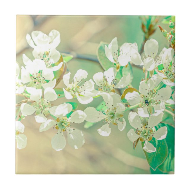 Pear Tree Spring Positive Vibes Leaves Flowers Ceramic Tile (Front)