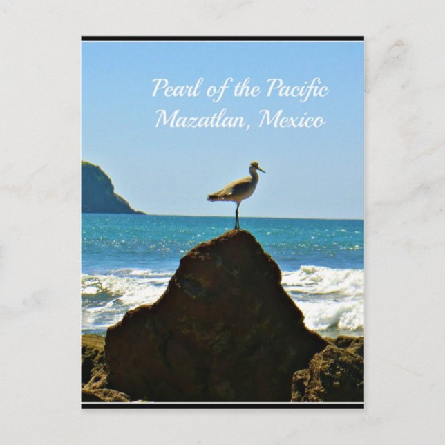 Pearl of the Pacific Mazatlan Mexico Bird Postcard (Front)