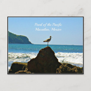 Pearl of the Pacific, Mazatlan Mexico Seagull Card