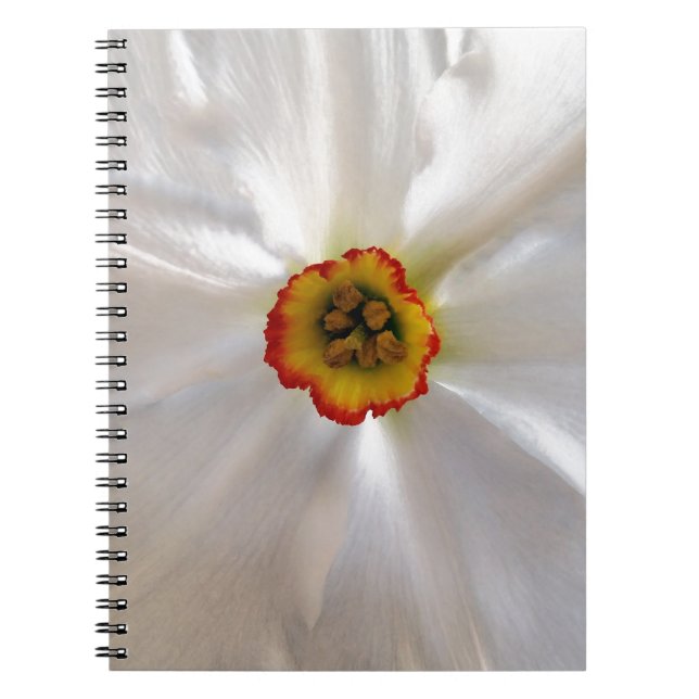 pearl white narcissus notebook (Front)