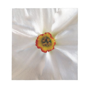 pearl white narcissus notepad