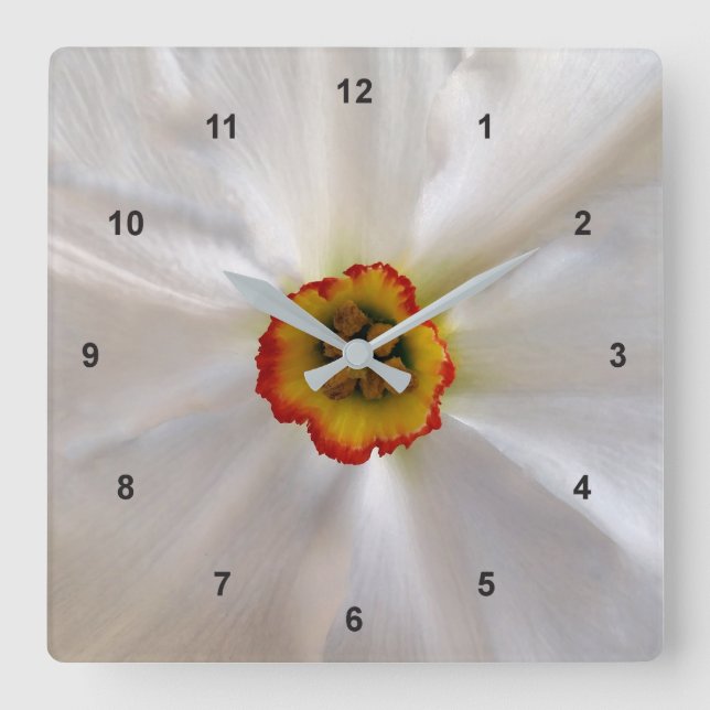 pearl white narcissus square wall clock (Front)