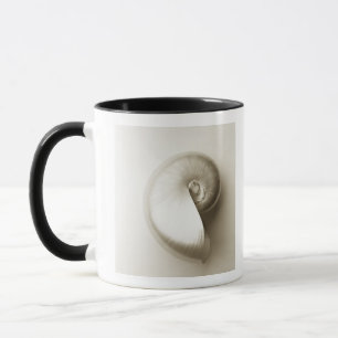 Pearlised nautilus sea shell 2 mug