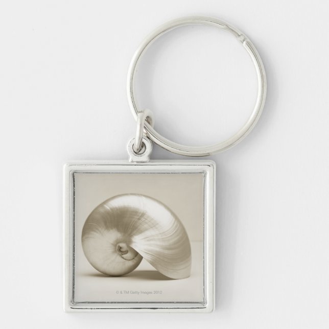 Pearlised nautilus sea shell key ring (Front)