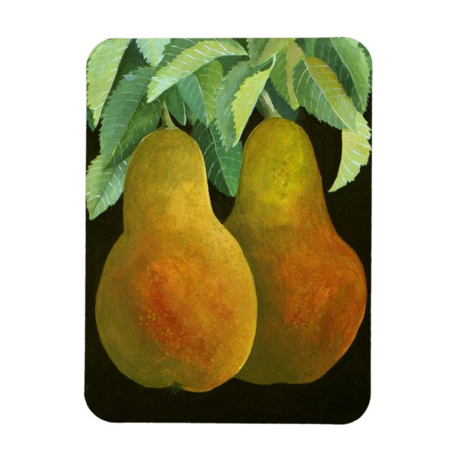 Pears 2014 2 magnet (Vertical)