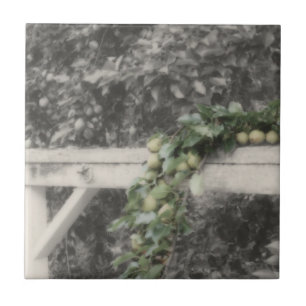 Pears And Hitching Post In Black And White Nature Ceramic Tile