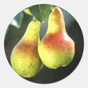 Pears Classic Round Sticker