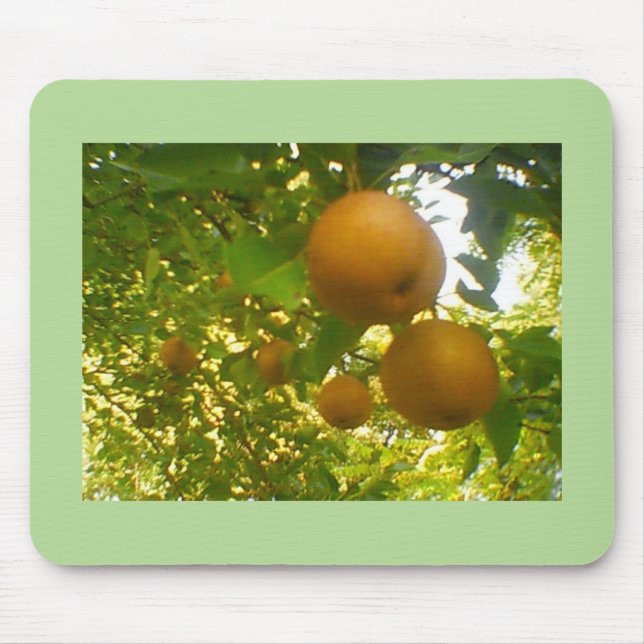 Pears in Full Bloom Mouse Pad (Front)