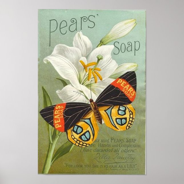 Pears Sopa Butterfly Poster (Front)
