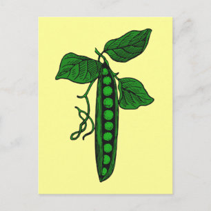 Peas in Pod Postcard