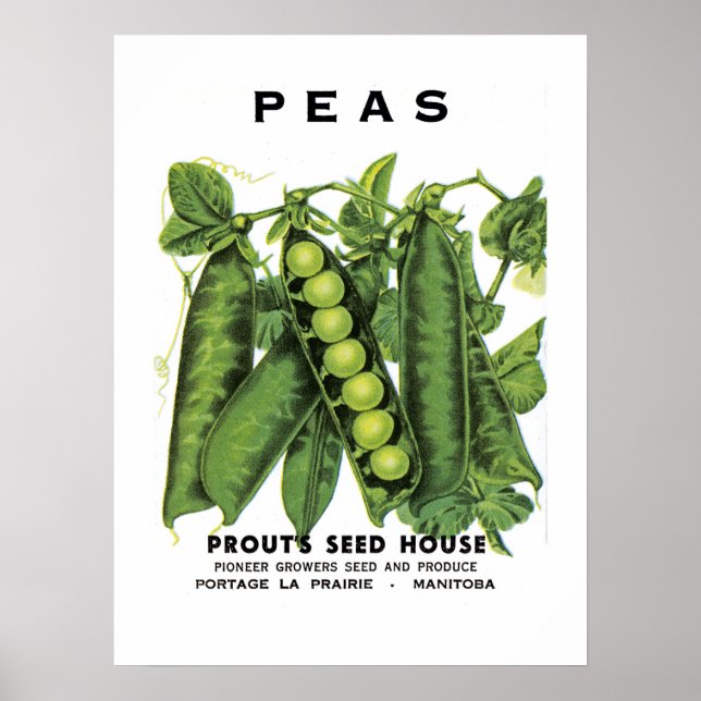 Peas Seed Packet Label Poster (Front)