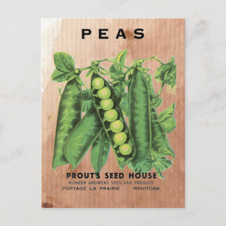 Peas Seed Packet Postcard