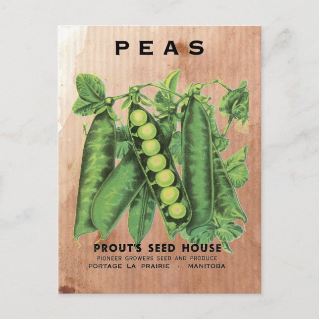 Peas Seed Packet Postcard (Front)