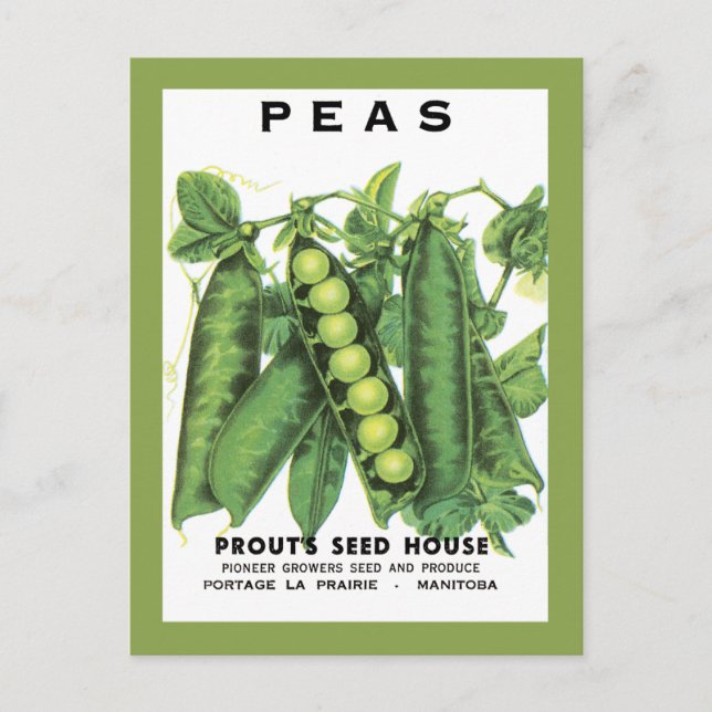 Peas Seed Packet Postcard (Front)