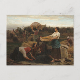 Peasant Women Harvesting Rapeseed by Jules Breton Postcard