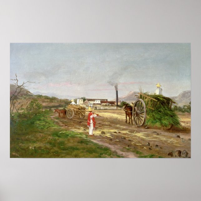 Peasants Collecting Sugar Cane Poster (Front)