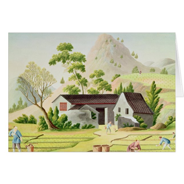 Peasants in the Paddy Fields (Front Horizontal)