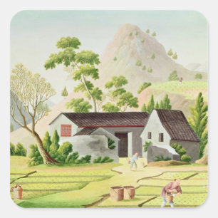 Peasants in the Paddy Fields Square Sticker