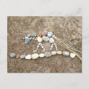 Pebble Horse Postcard