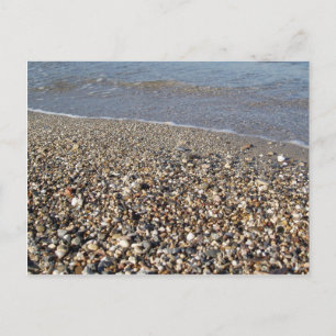 Pebble Seashore Postcard