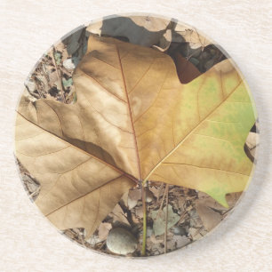 pebbles and leaves coaster