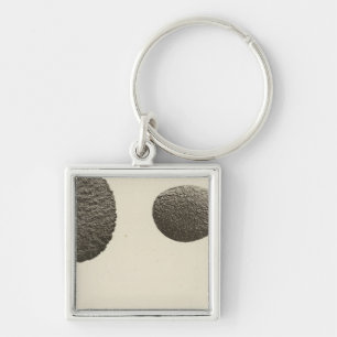Pebbles carved by sand, Colorado River Key Ring