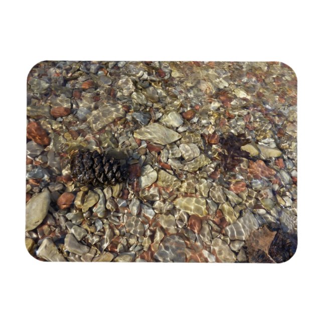 Pebbles in Taylor Creek Nature Photography Magnet (Horizontal)