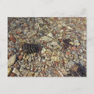 Pebbles in Taylor Creek Nature Photography Postcard