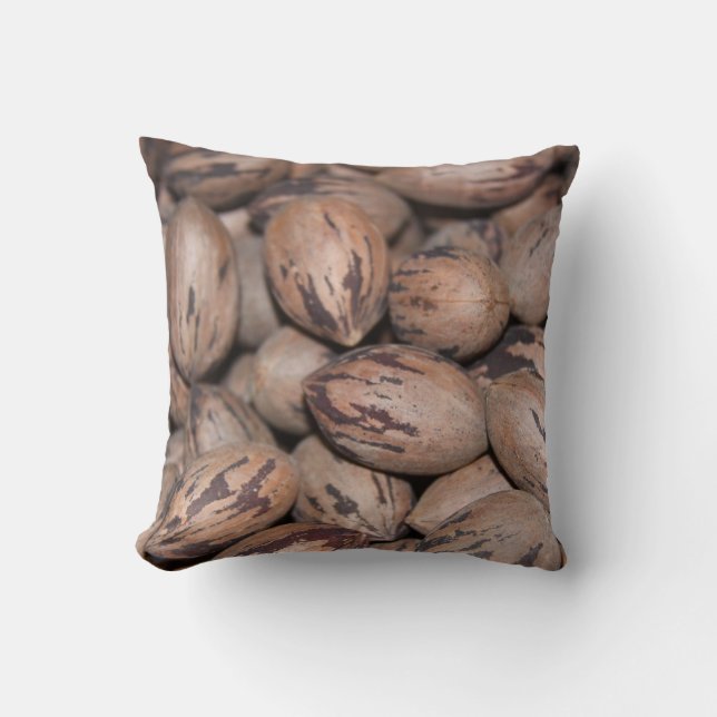 Pecan Pillow (Front)