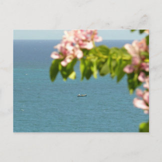 Pecheurs au Travail - Martinique, FWI Postcard