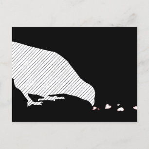 pecking order postcard