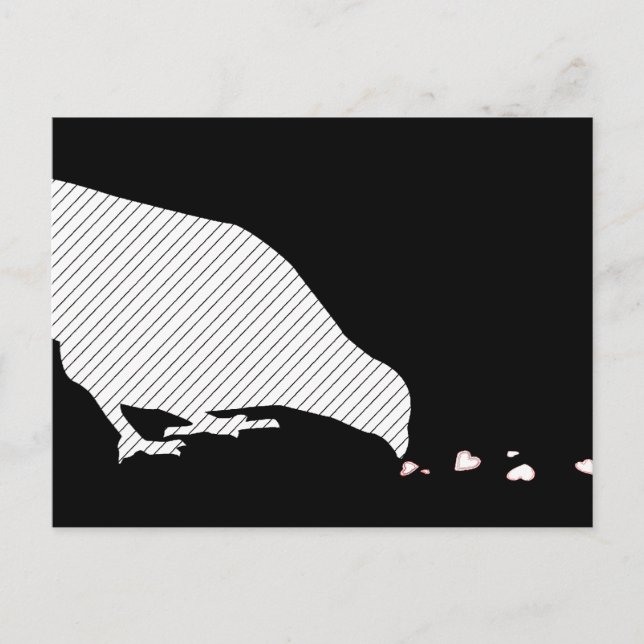 pecking order postcard (Front)