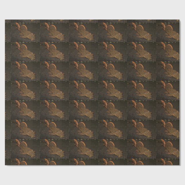 Peckoltia Compta Wrapping Paper (Flat)