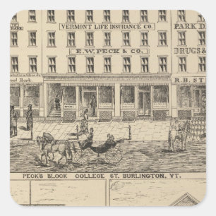 Peck's Block Square Sticker