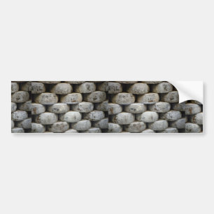 Pecorino cheese wheels, Italy Bumper Sticker