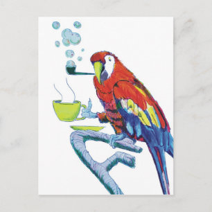 Peculiar Parrot Postcard
