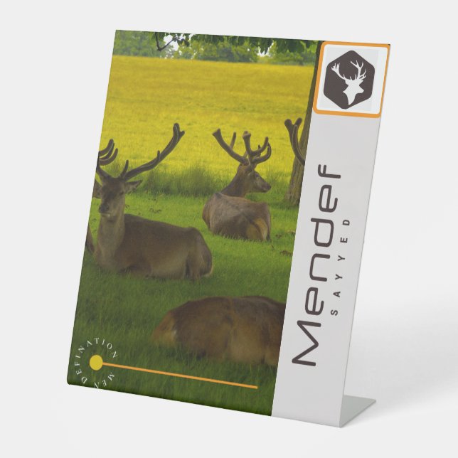 Pedestal Sign (Front)