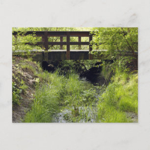 Pedestrian Bridge over a Creek Postcard