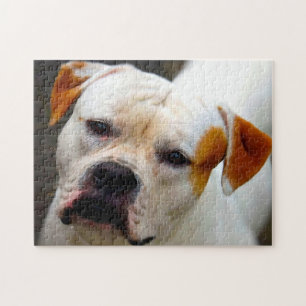 Pedigree Bulldog. Jigsaw Puzzle